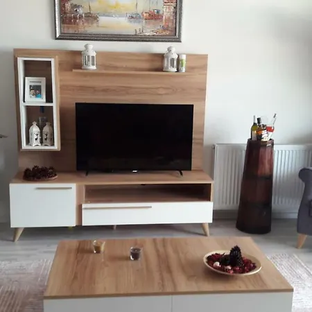 Apartment Oguzhan Sokak Daire Bursa
